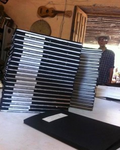 Ejemplares de Zacualpan y sus dos cañones.